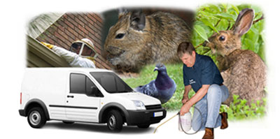 Chorleywood local van